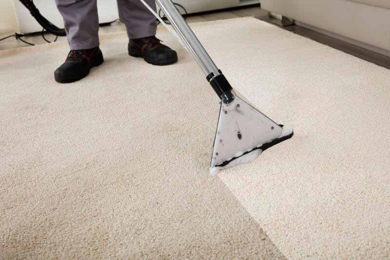 Carpet Cleaning Reading